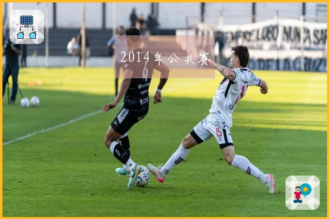 2014年公共赛