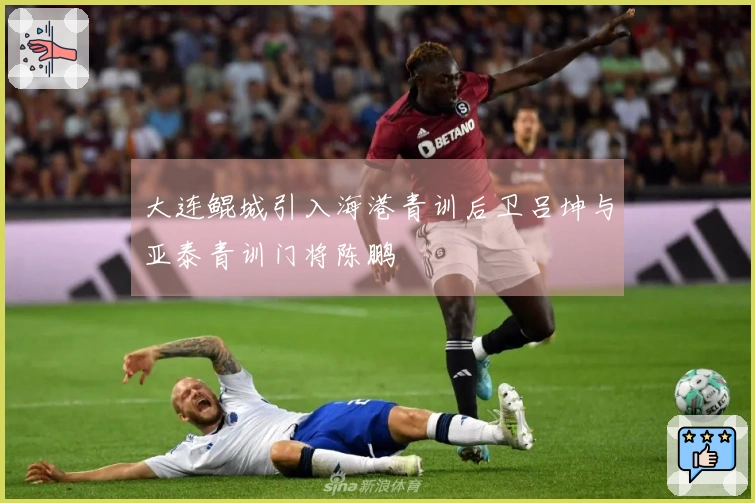 大连鲲城引入海港青训后卫吕坤与亚泰青训门将陈鹏
