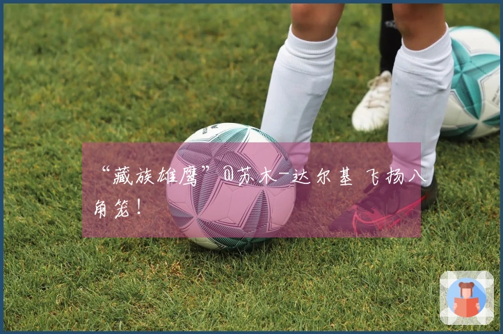 “藏族雄鹰”@苏木-达尔基 飞扬八角笼！